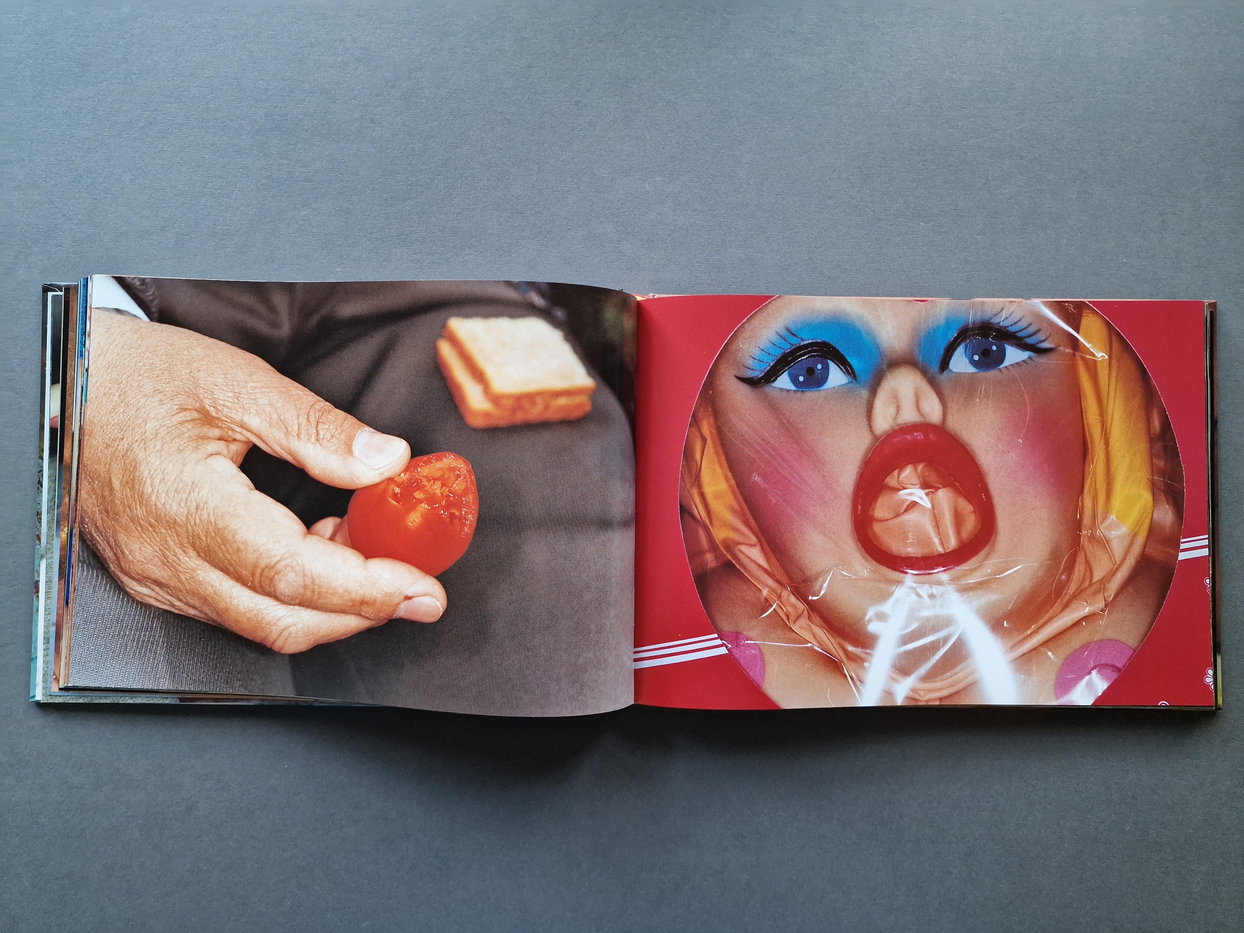 Buy Common Sense by Martin Parr online – Setanta Books