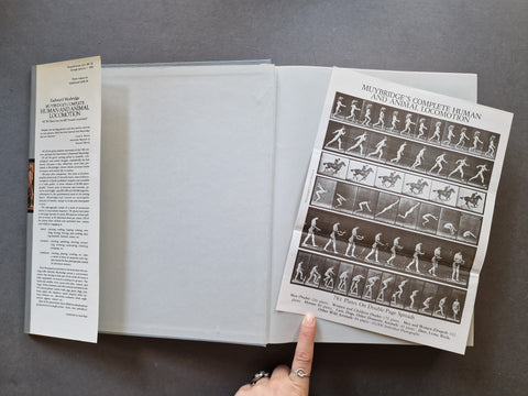 Muybridge’s Complete Human And Animal Locomotion (Vol. 1 -3)