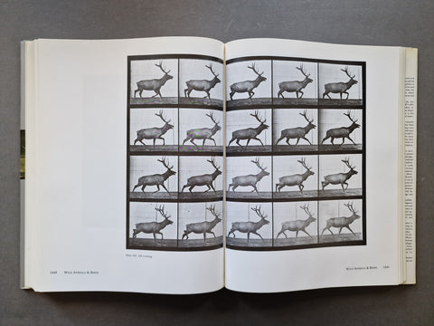 Muybridge’s Complete Human And Animal Locomotion (Vol. 1 -3)