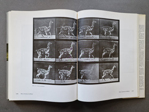Muybridge’s Complete Human And Animal Locomotion (Vol. 1 -3)