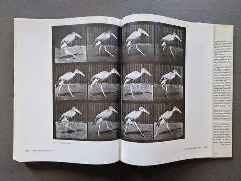Muybridge’s Complete Human And Animal Locomotion (Vol. 1 -3)