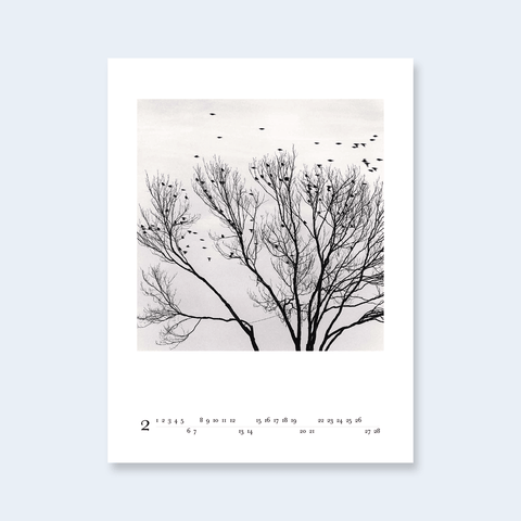 A minimalist calendar page featuring black tree branches and birds on a light off-white background.