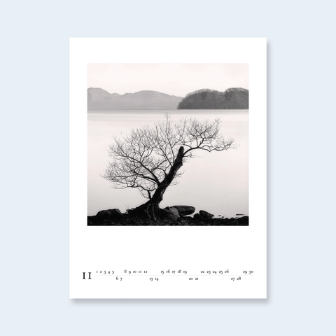 A minimalist calendar page with a photograph of a lone, leafless tree on a rocky shore with misty mountains and water in the background. 