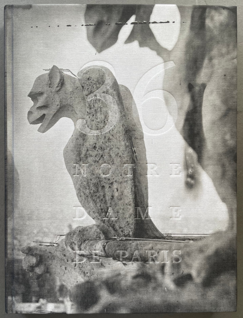 Front cover of  36 Views of Notre Dame by  Tomas Van Houtryve with a black and white photo of a demon statue.   