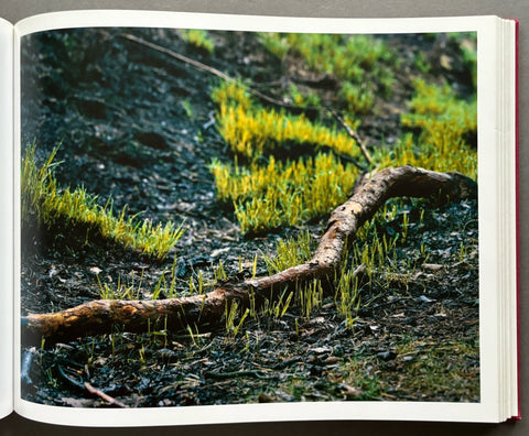 424 - Setanta Books