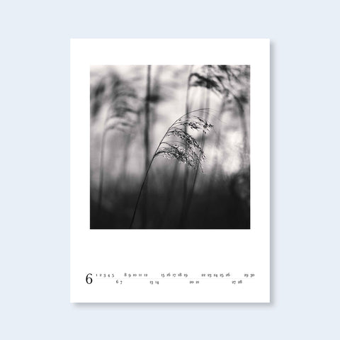 2026 Michael Kenna Calendar
