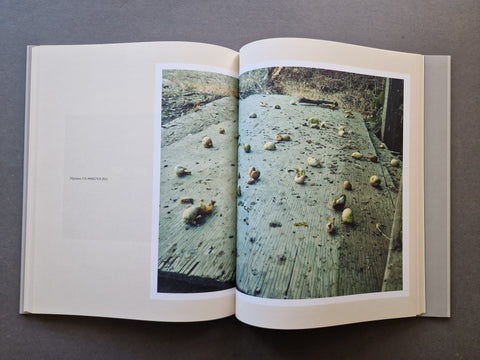 An open book, showing a photographic print on the pages. The print depicts apples scattered on a weathered wooden surface.