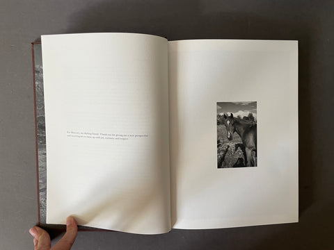 An open page with text on the left and an image of a horse on the right. 