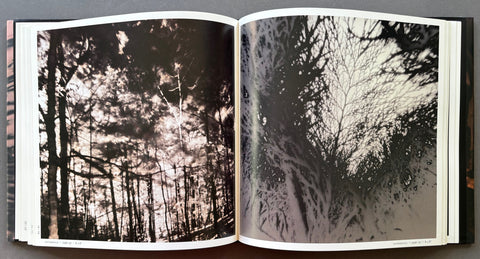 Aaron Rose: Photographs