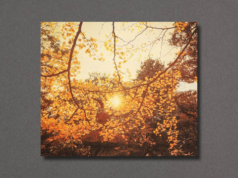 On Listening To Trees Limited Edition with Print