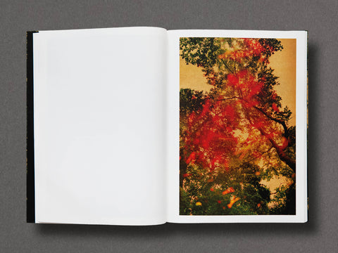 On Listening To Trees Limited Edition with Print