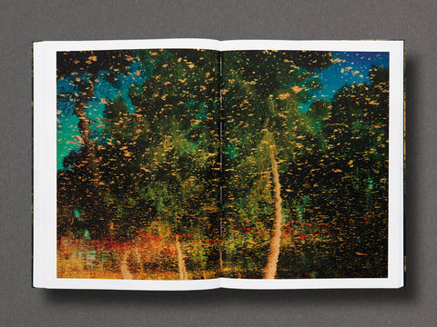 On Listening To Trees Limited Edition with Print