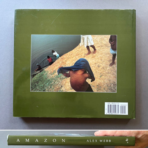 Amazon: From the Floodplains to the Clouds