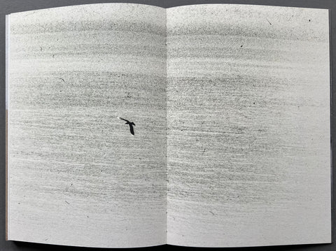 An Ocean In Between the Waves