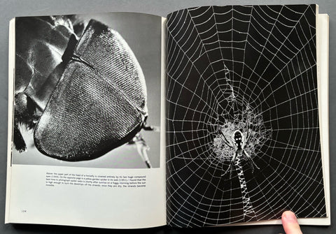 Andreas Feininger: Experimental Work 1928-1976