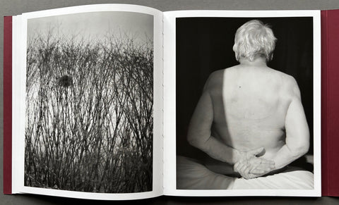 Calling the Birds Home