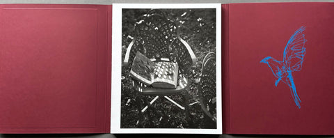 Calling the Birds Home