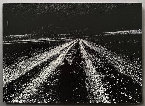 Book titled 'Hokkaido' by Daido Moriyama with a black and white cover featuring an image of a road.