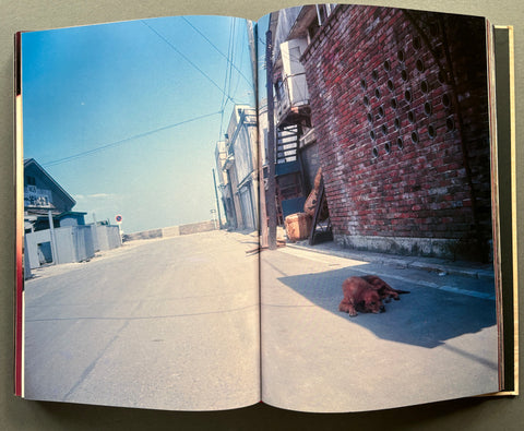 Daido Moriyama In Colour: Now, and Never Again