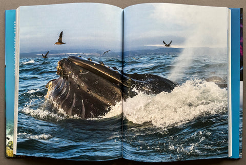 Blue Planet II