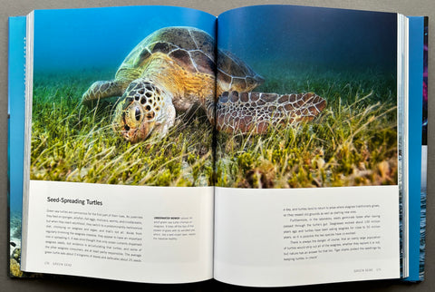 Blue Planet II