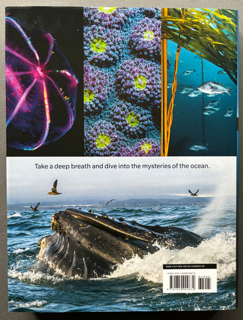Blue Planet II