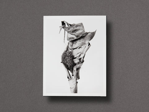 Des Oiseaux Limited Edition with Print