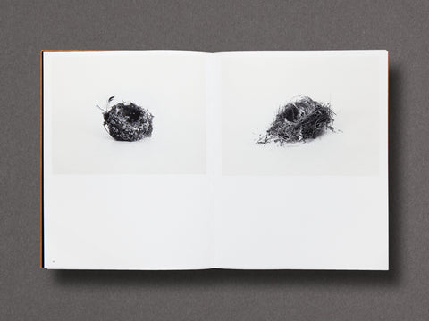 Des Oiseaux Limited Edition with Print