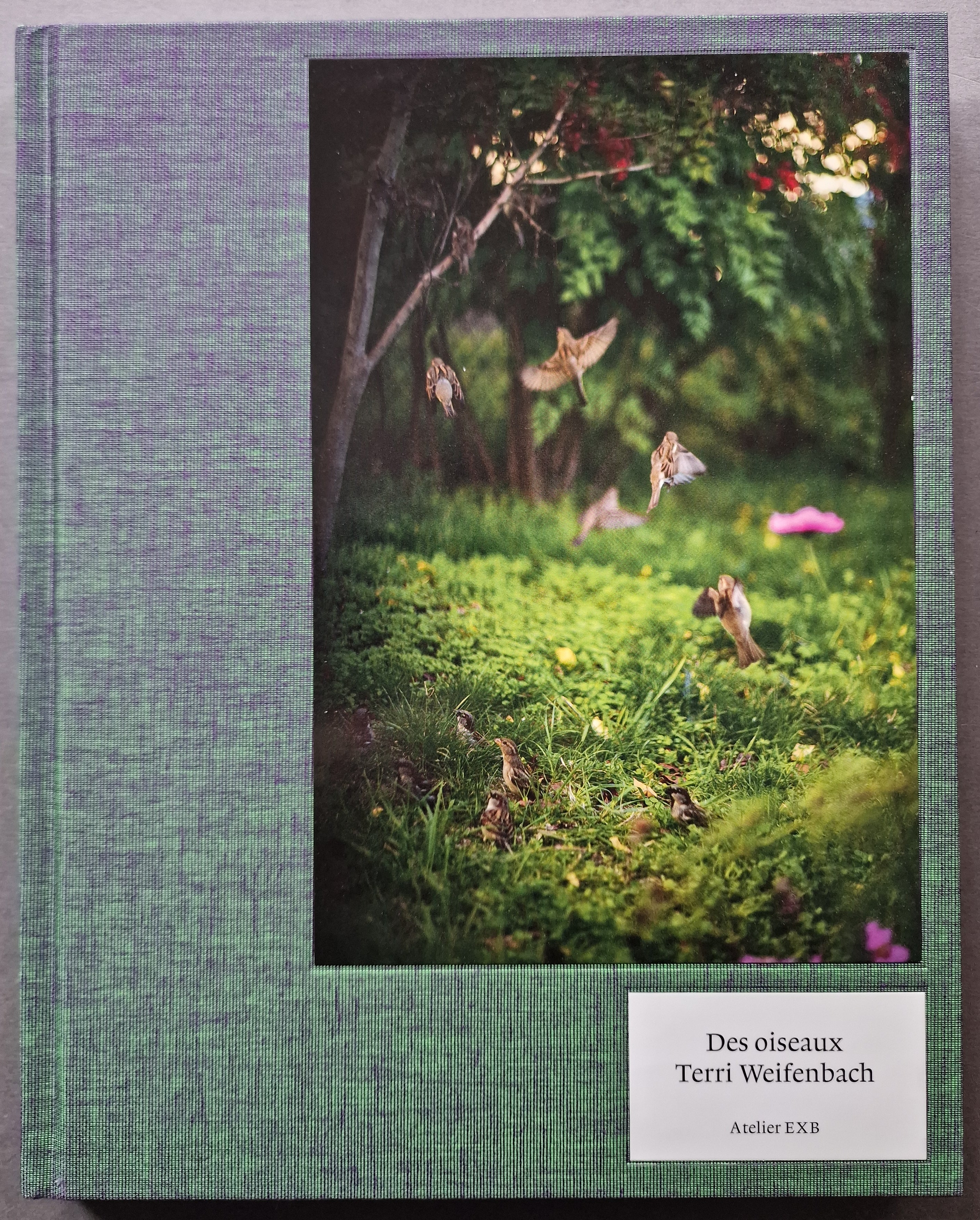 Buy Des Oiseaux by Terri Weifenbach Online – Setanta Books