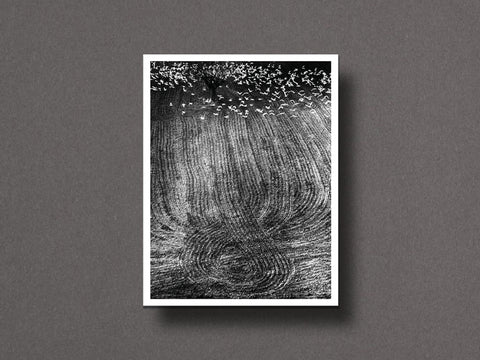 Des Oiseaux Limited Edition with Print