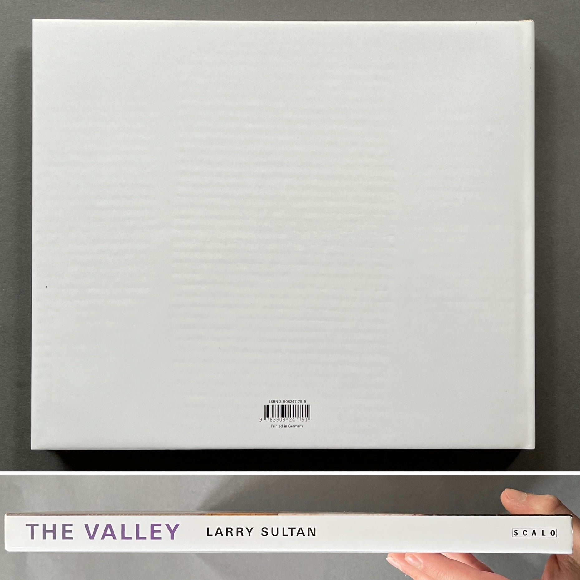 buy-the-valley-by-larry-sultan-online-setanta-books