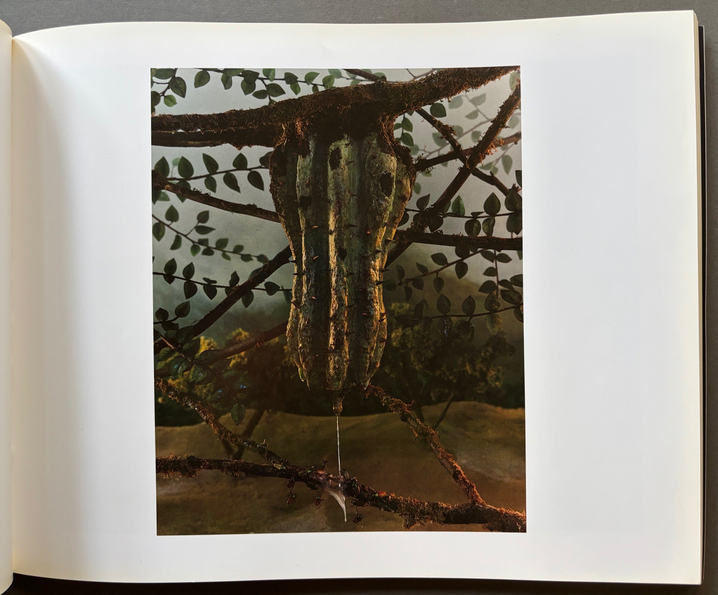 Buy Dream of Life by Gregory Crewdson Online – Setanta Books