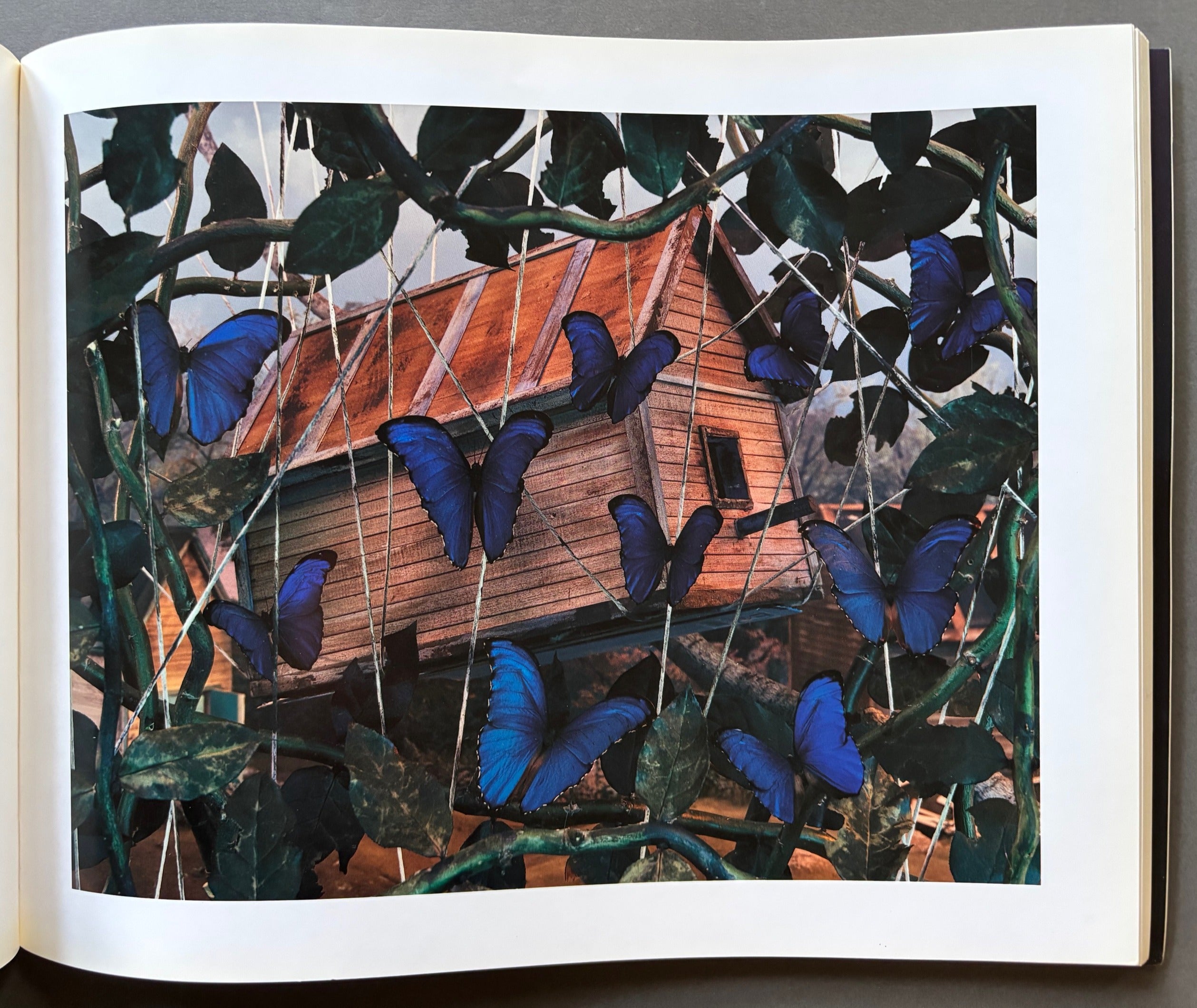 写真集　Gregory Crewdson Dream of Life　希少 Buy Dream of Life by Gregory Crewdson Online – Setanta Books