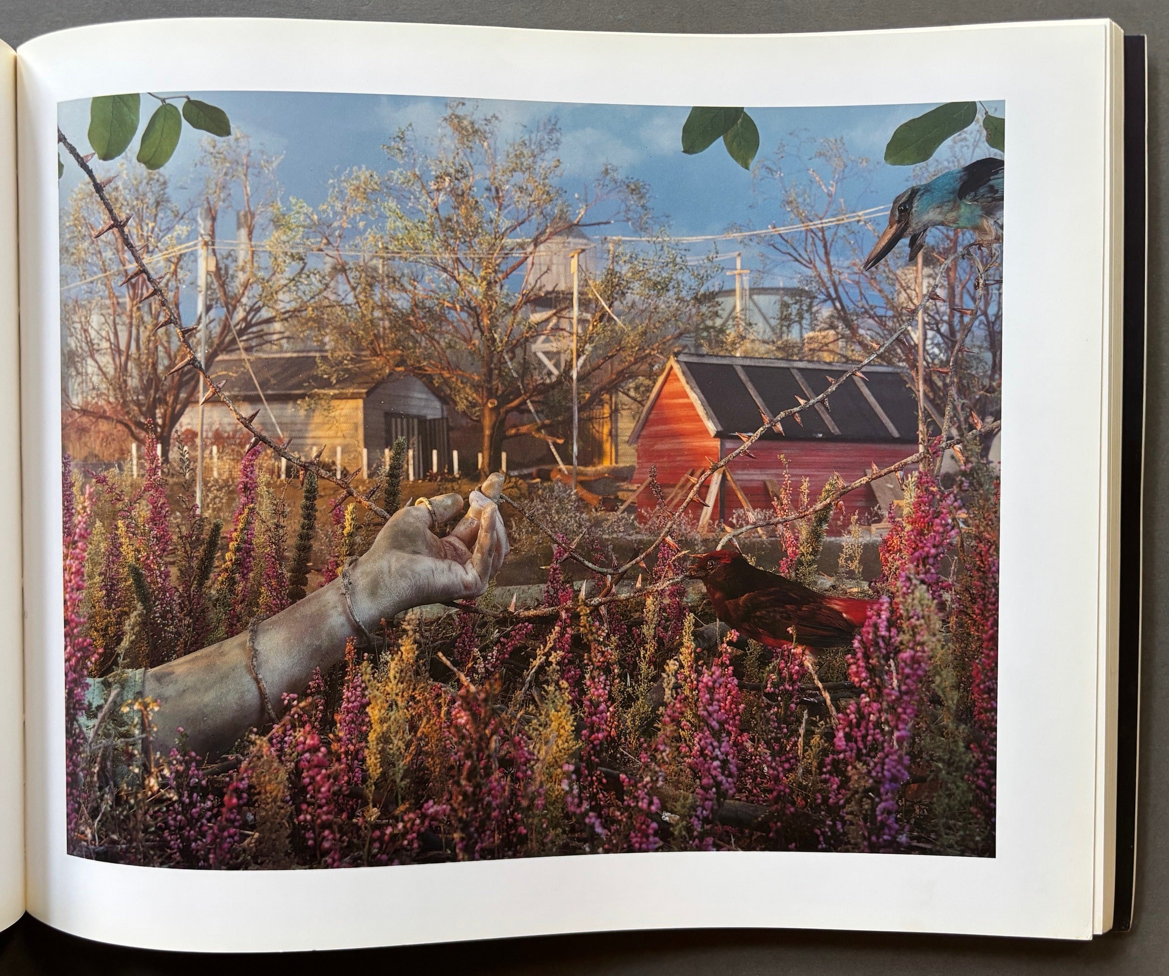 Buy Dream of Life by Gregory Crewdson Online – Setanta Books