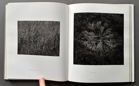 Harry Callahan