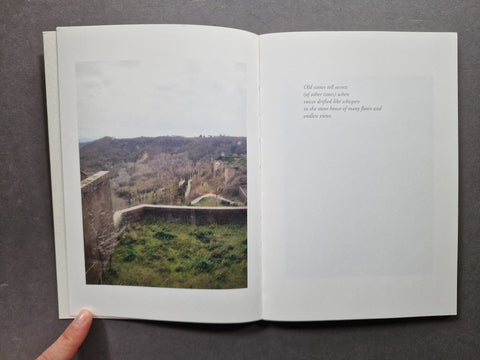 I NEVER KNEW CY TWOMBLY: Bassano in Teverina