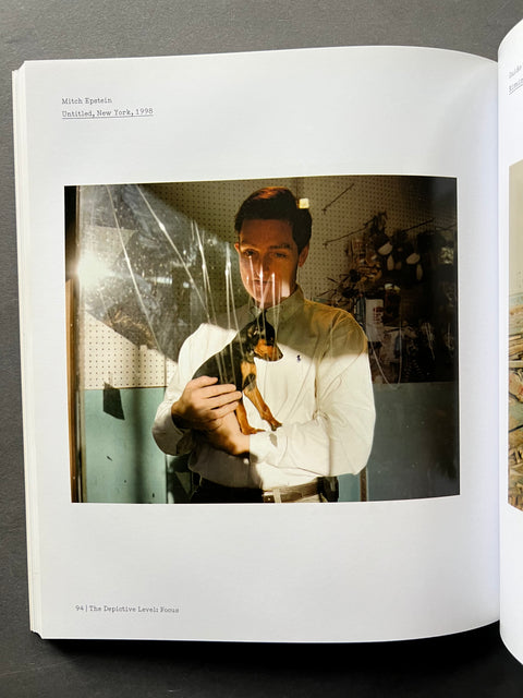 The Nature of Photographs