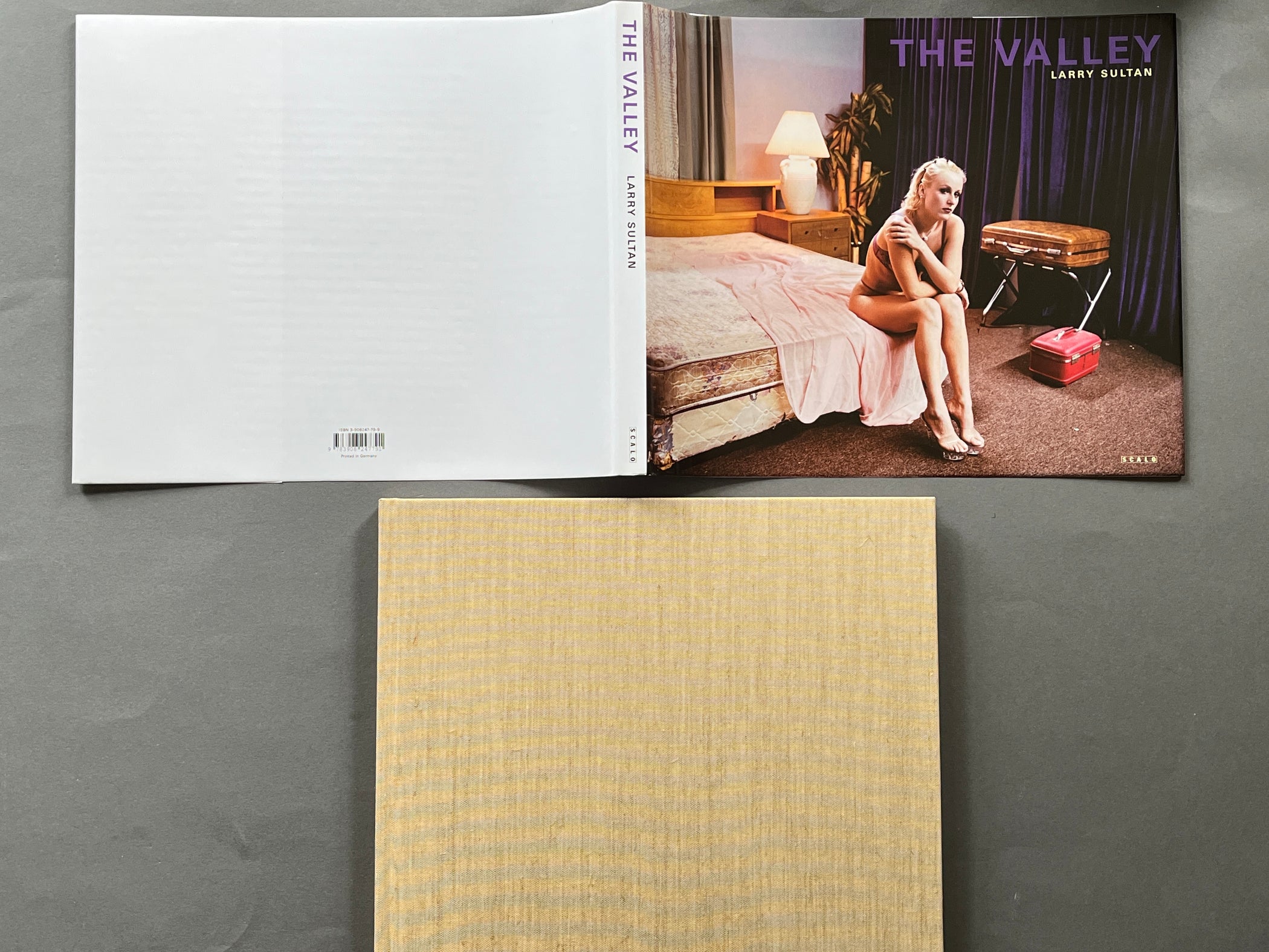 buy-the-valley-by-larry-sultan-online-setanta-books