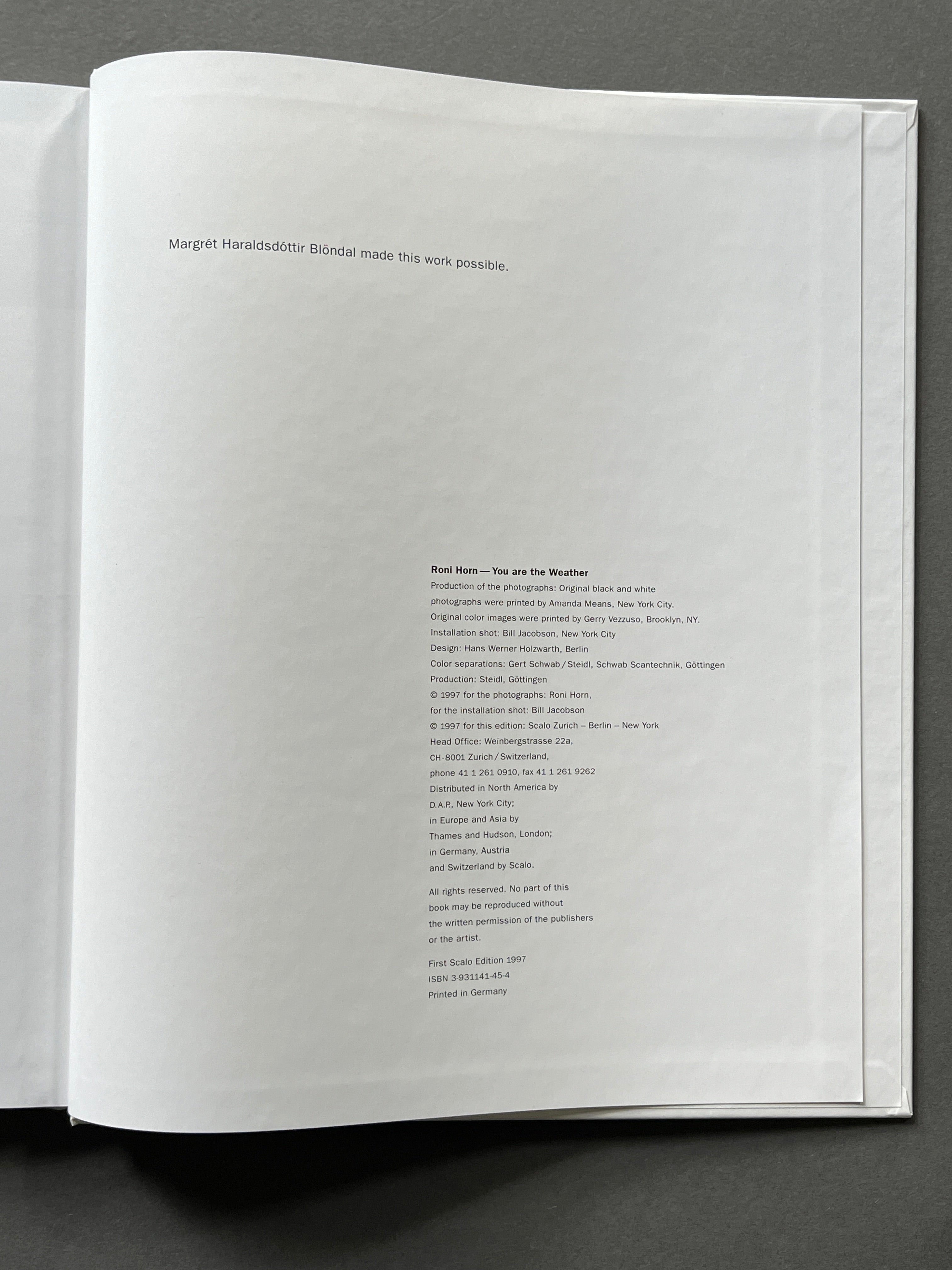 Buy You Are the Weather by Roni Horn Online – Setanta Books