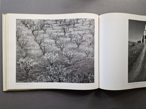 Images 1923 - 1974