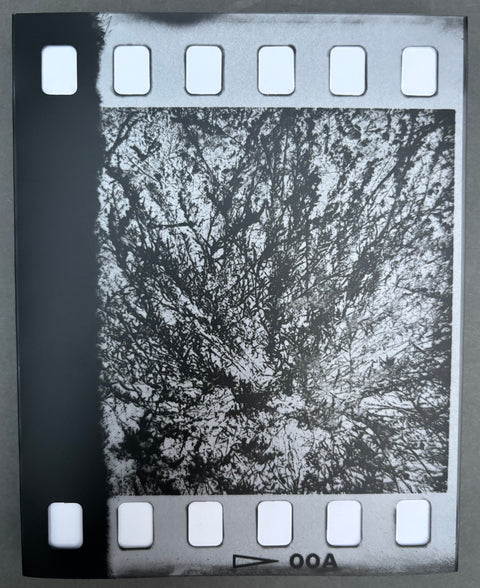 Book titled 'Double Zero' by Jason Eskenazi with a black and white cover resembling a film reel.