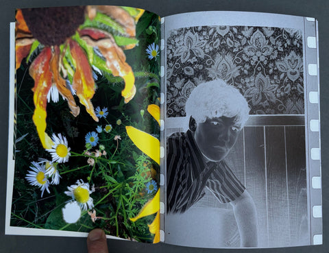 What if Jeff were a Butterfly?