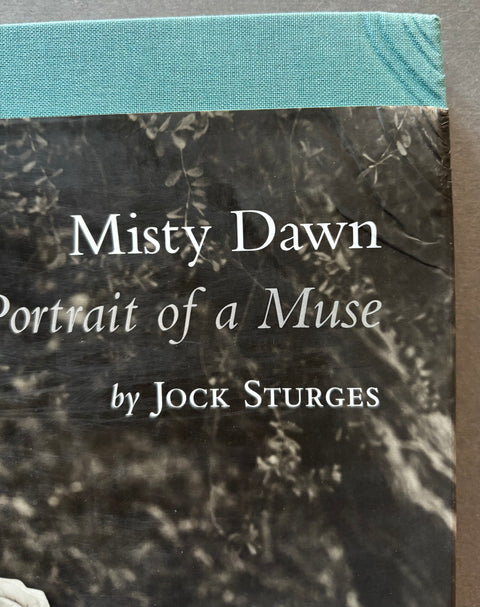 Misty Dawn: Portrait of a Muse Book