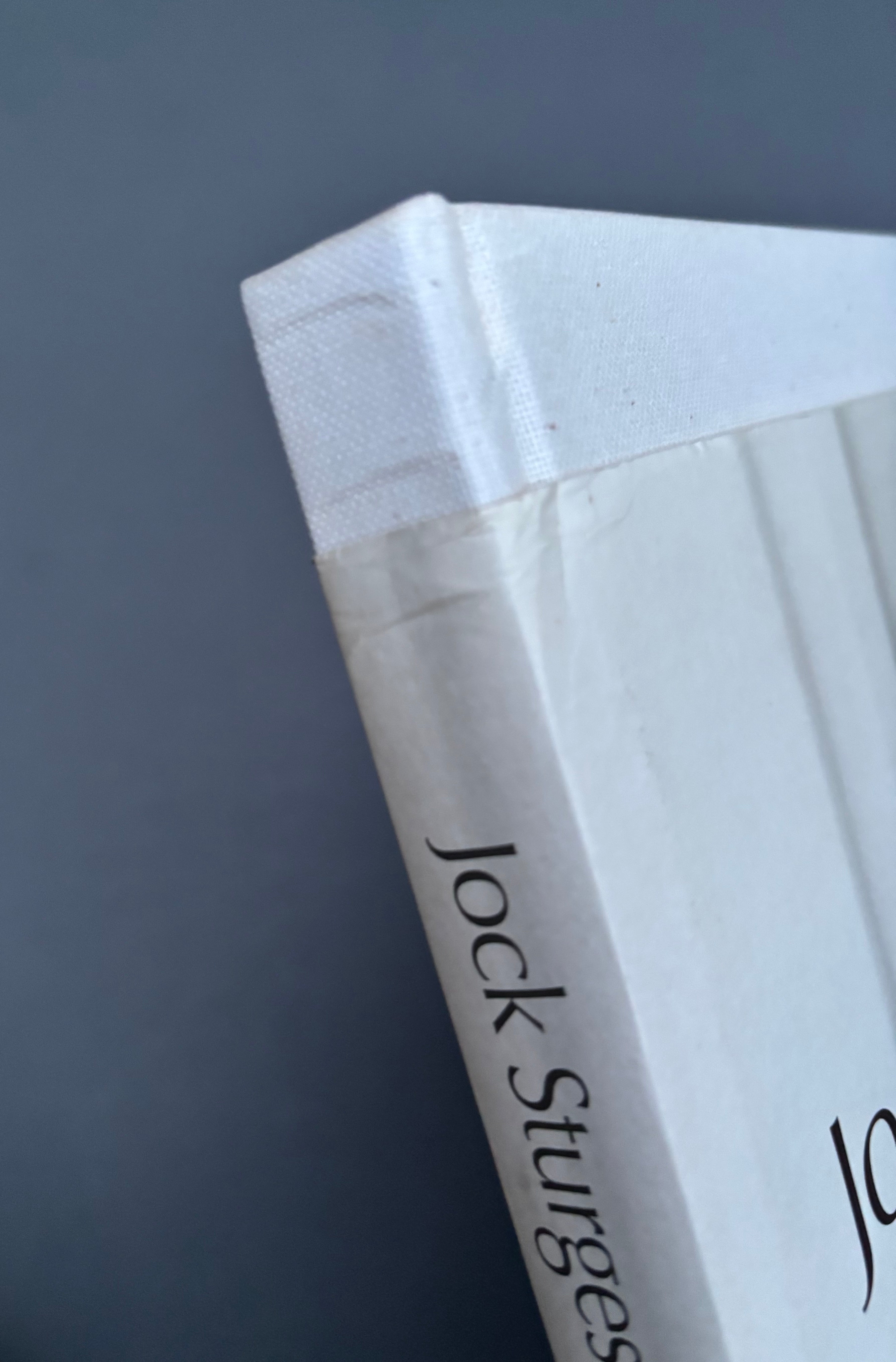 Buy New Work 1996-2000 by Jock Sturges – Setanta Books