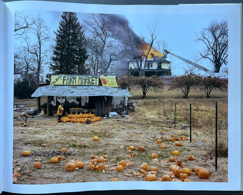 Joel Sternfeld: American Prospects