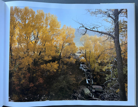 Joel Sternfeld: American Prospects