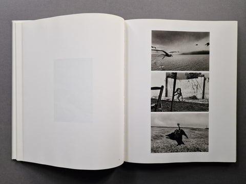 An open book spread showing 3 photos on the right page. First is of a seagull, second of a monkey and the last one is of a dead craw.