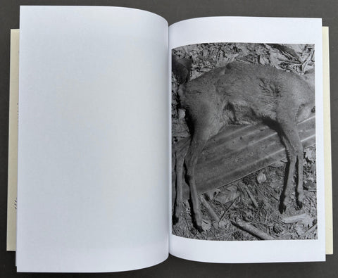 As Long As The Sun Lasts