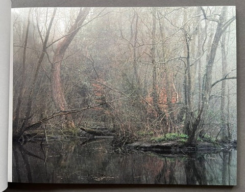 The Floods (The Collectors Edition)