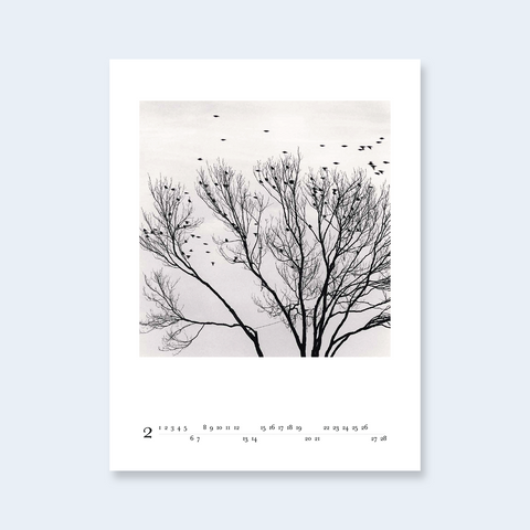 A minimalist calendar page featuring black tree branches and birds on a light off-white background.